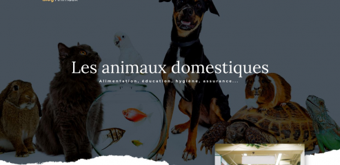 https://www.blog-animaux.fr